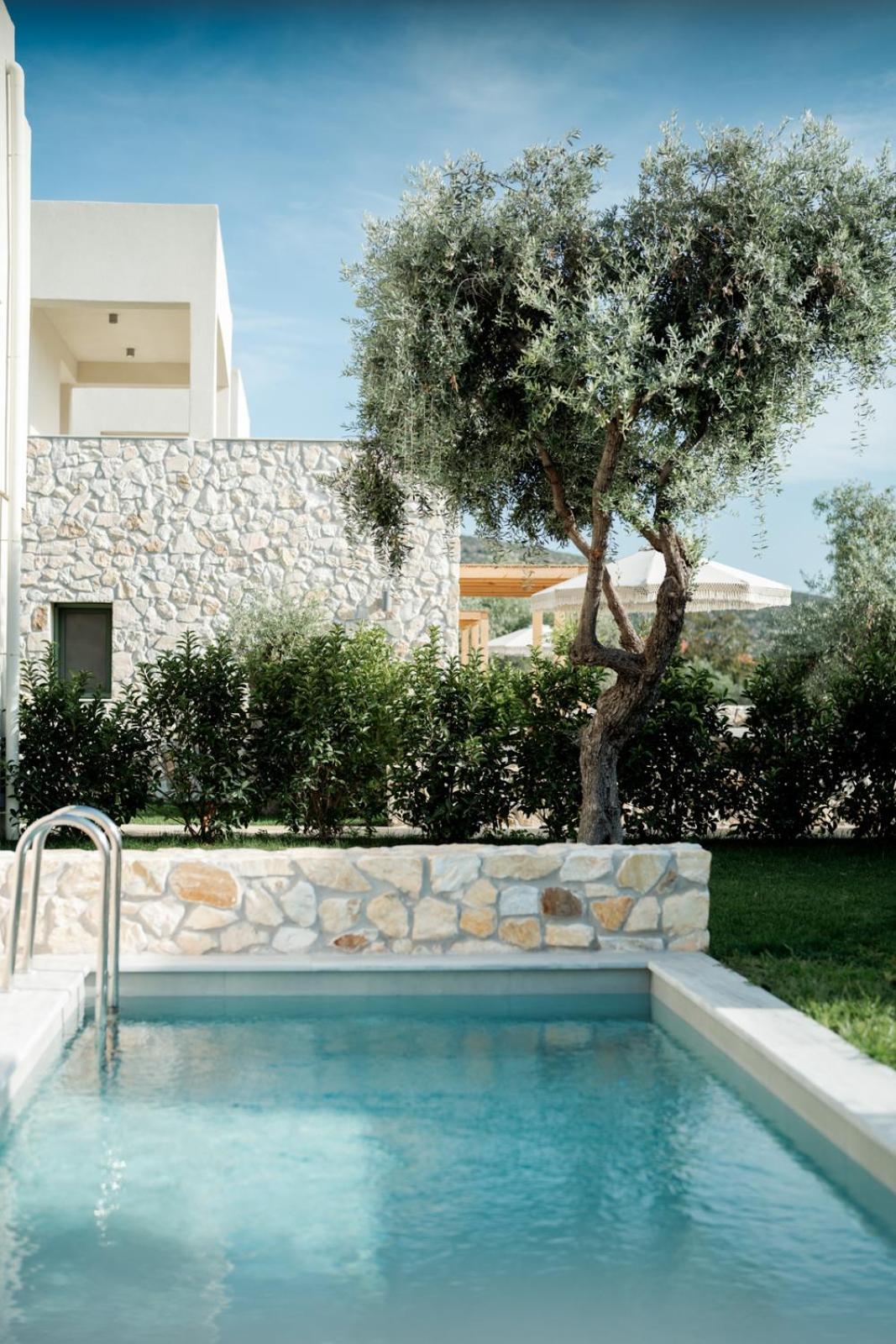 Magnolia Villas Potos Thassos Extérieur photo