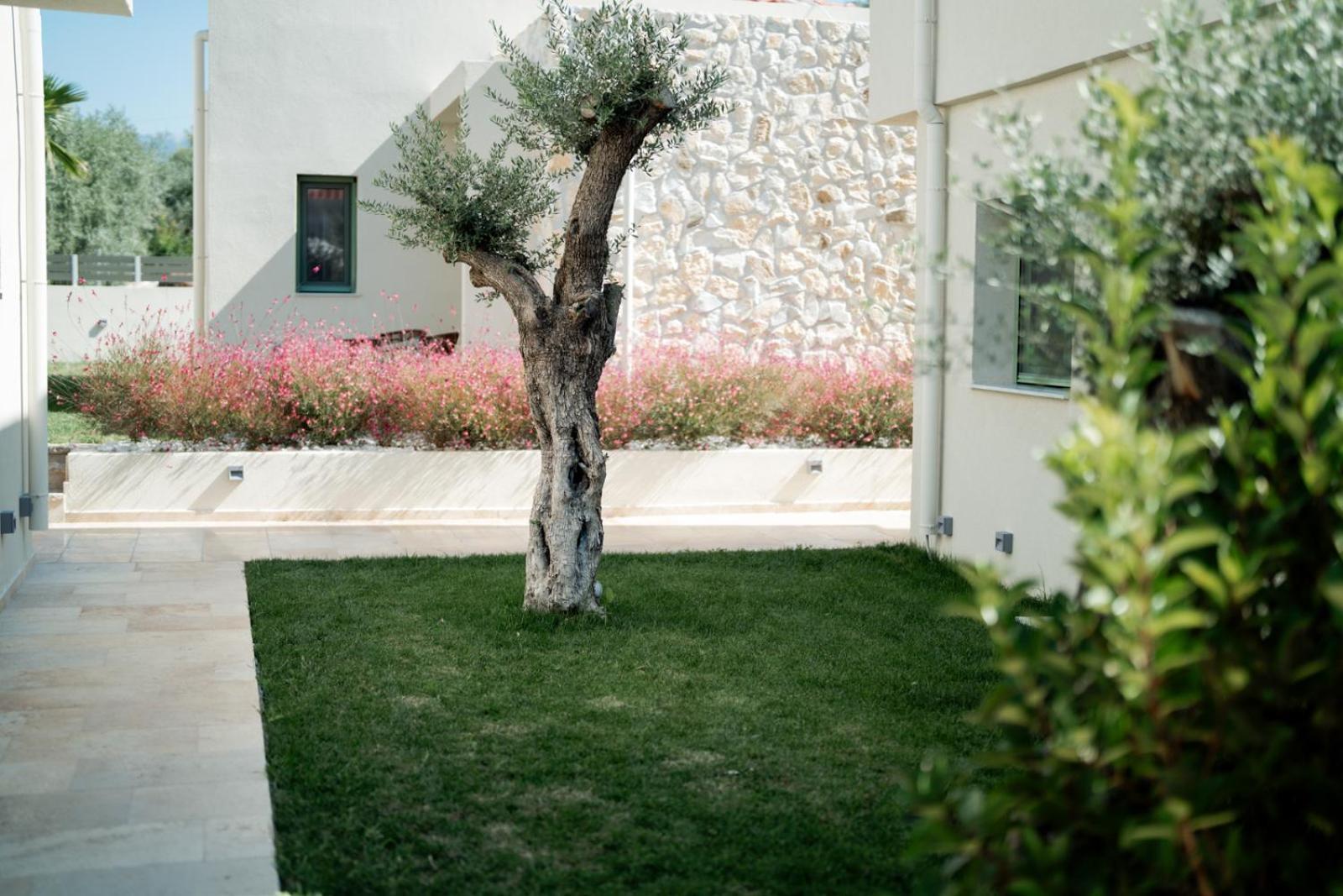 Magnolia Villas Potos Thassos Extérieur photo